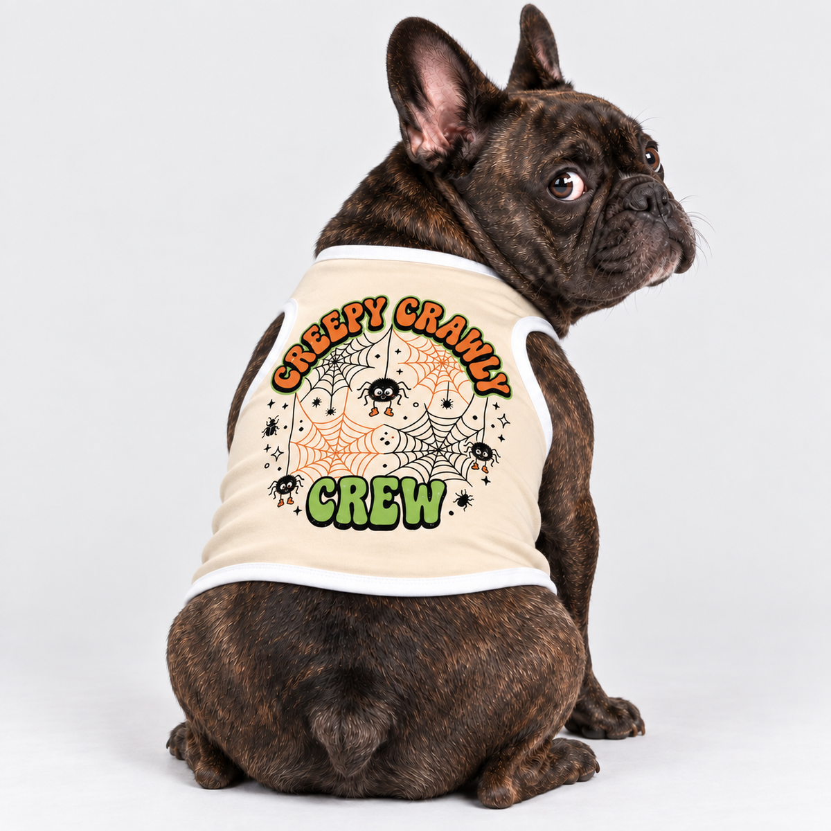 French Bulldog Halloween Outfits & Accessories