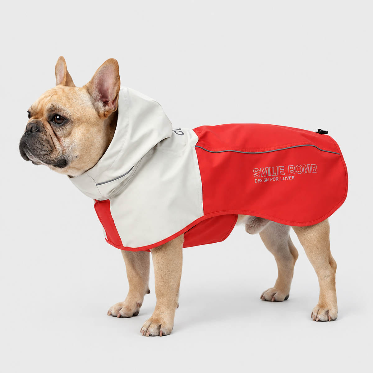 French Bulldog wearing a red and white raincoat on a light gray background