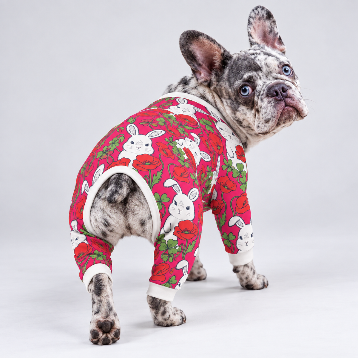 Floral Bunny French Bulldog Pajamas – Soft Dog Sleepwear back view on French Bulldog