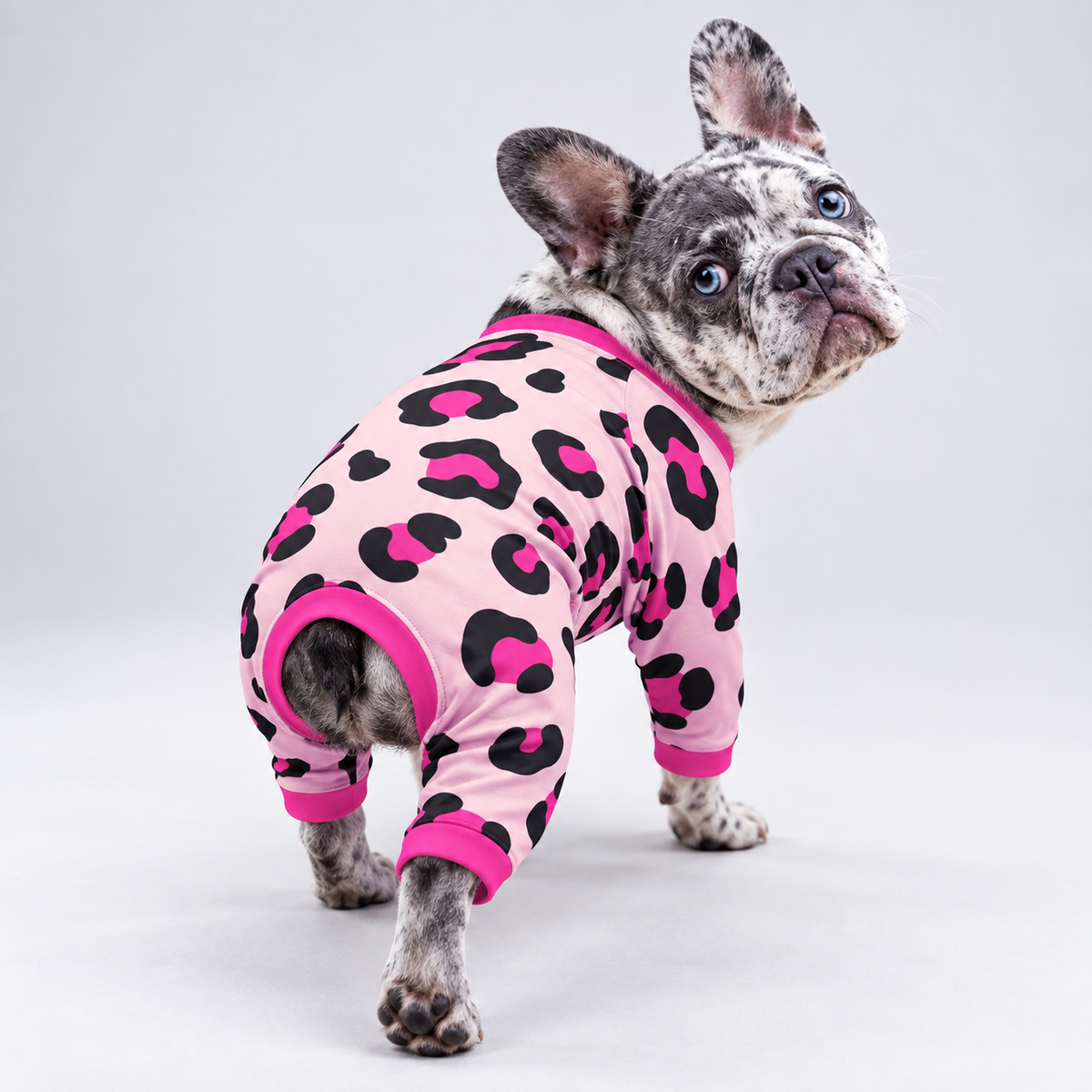 Pink Leopard French Bulldog Pajamas – Soft Dog Sleepwear back view on French Bulldog