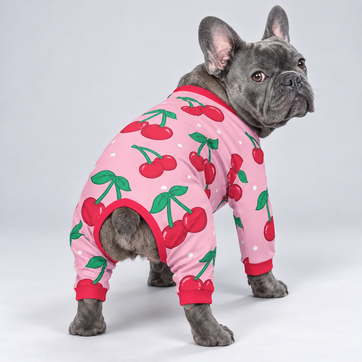 Sweet Cherry French Bulldog Pajamas – Soft Dog Sleepwear back view on French Bulldog