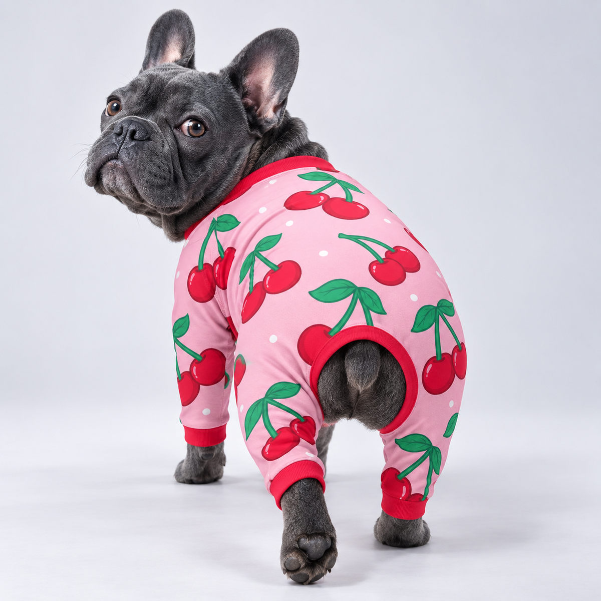 Sweet Cherry French Bulldog Pajamas – Soft Dog Sleepwear rear three-quarter view