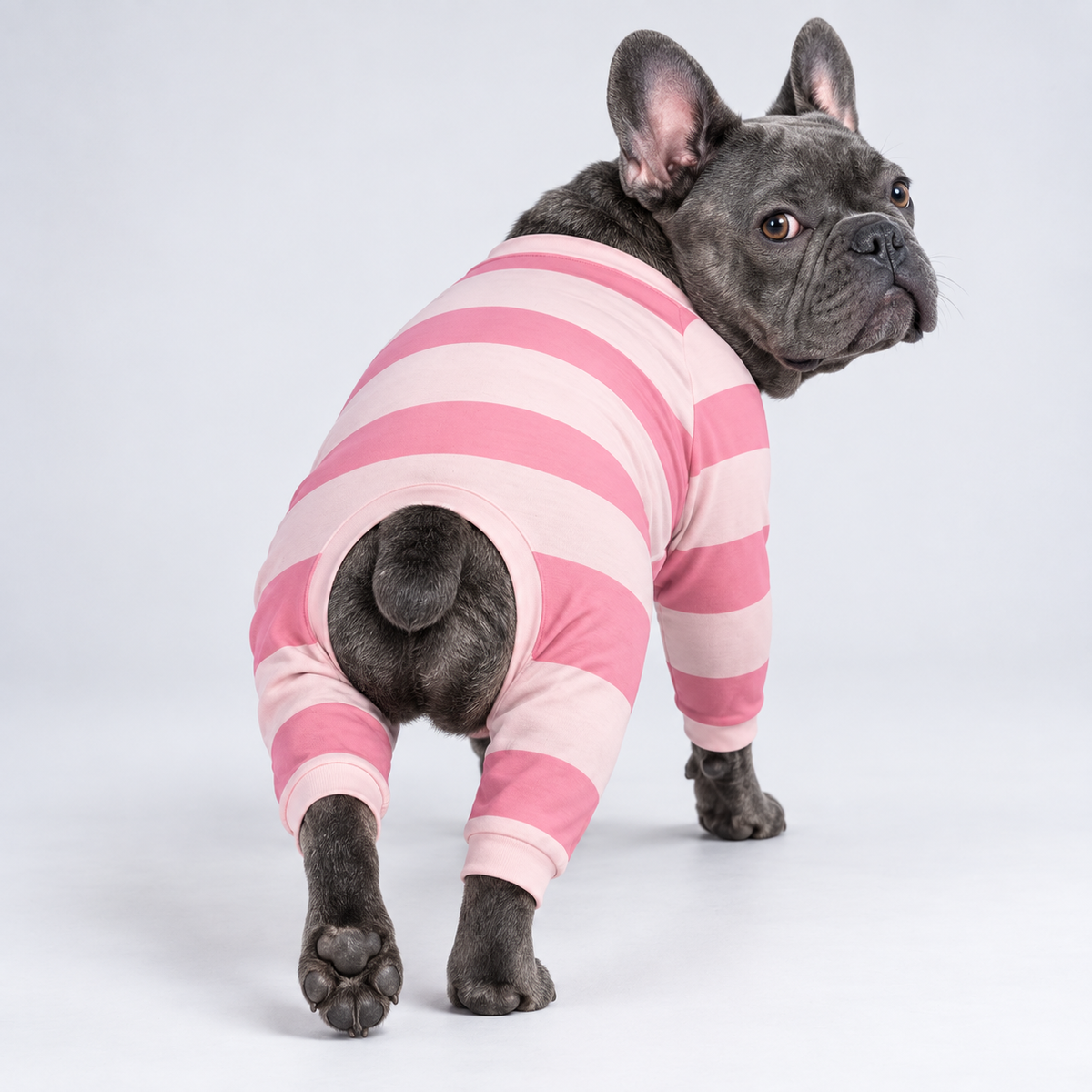 Pink Stripe French Bulldog Pajamas – Soft Dog Sleepwear back view on French Bulldog