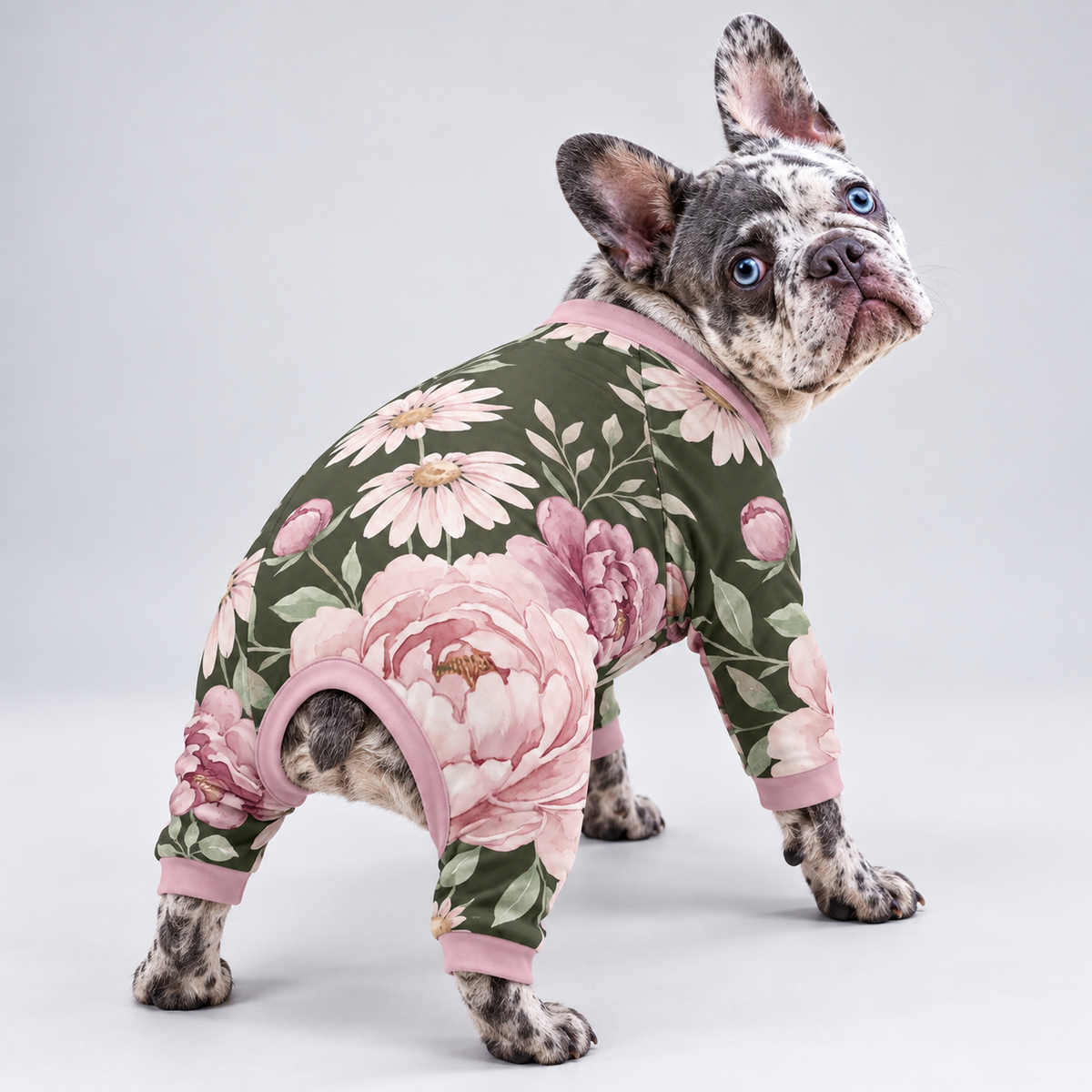 Sweet Floral French Bulldog Pajamas – Soft Dog Sleepwear back view on French Bulldog