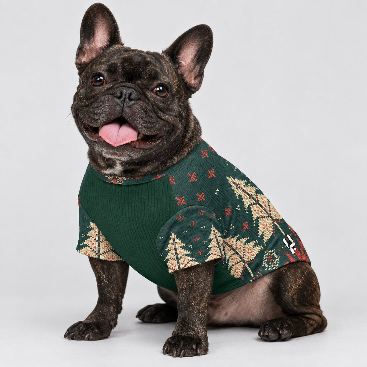Frenchie wool sweater with a customisable back print, easy to slip on and off.