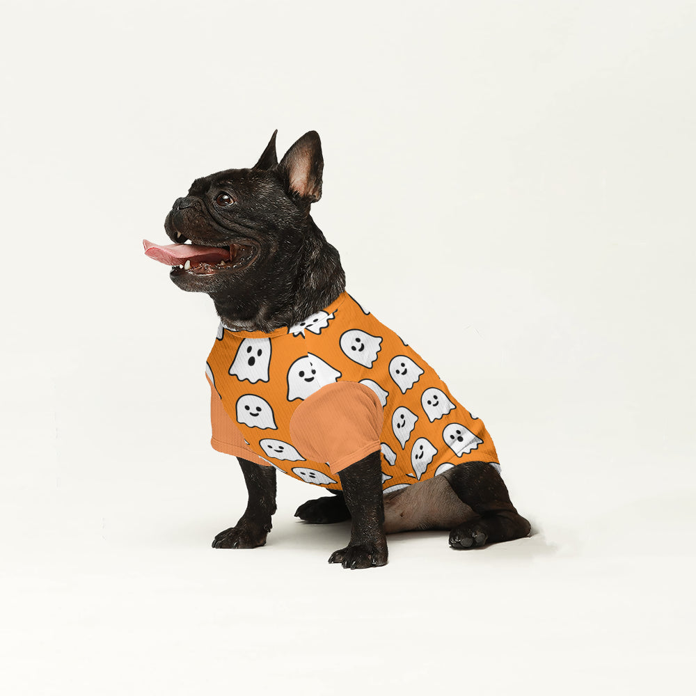 French Bulldog Wool Sweater | The Frenchie Shop Custom Print Cozy Knit