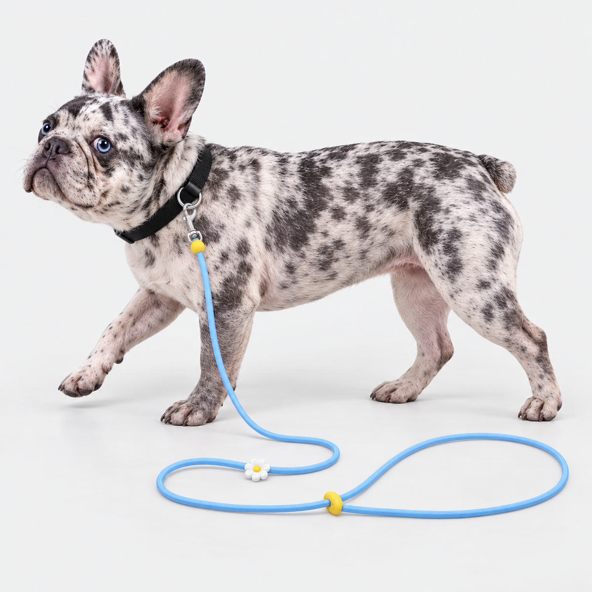 Crossbody French Bulldog Leash — 6030348360743