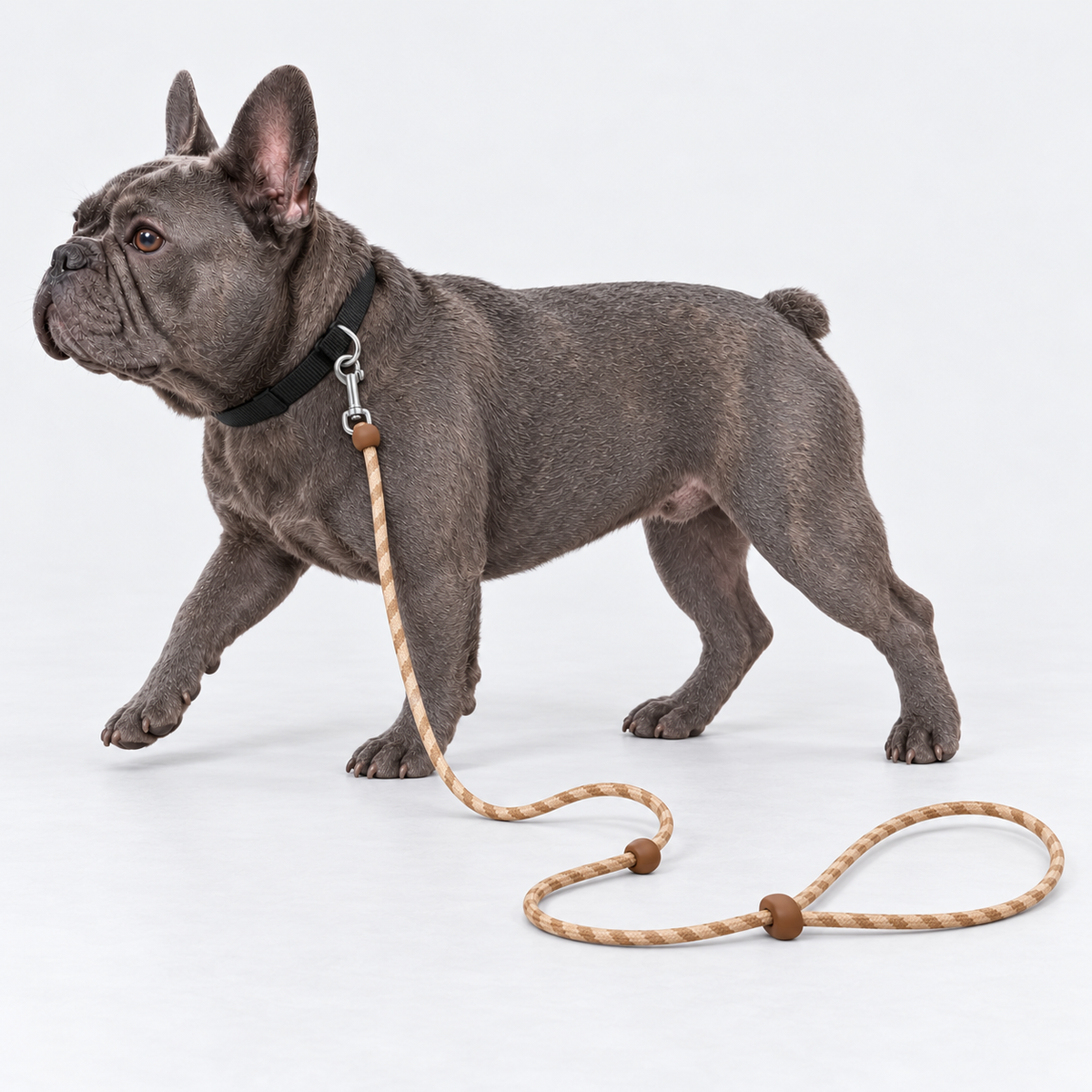 Crossbody French Bulldog Leash — 6030348360744