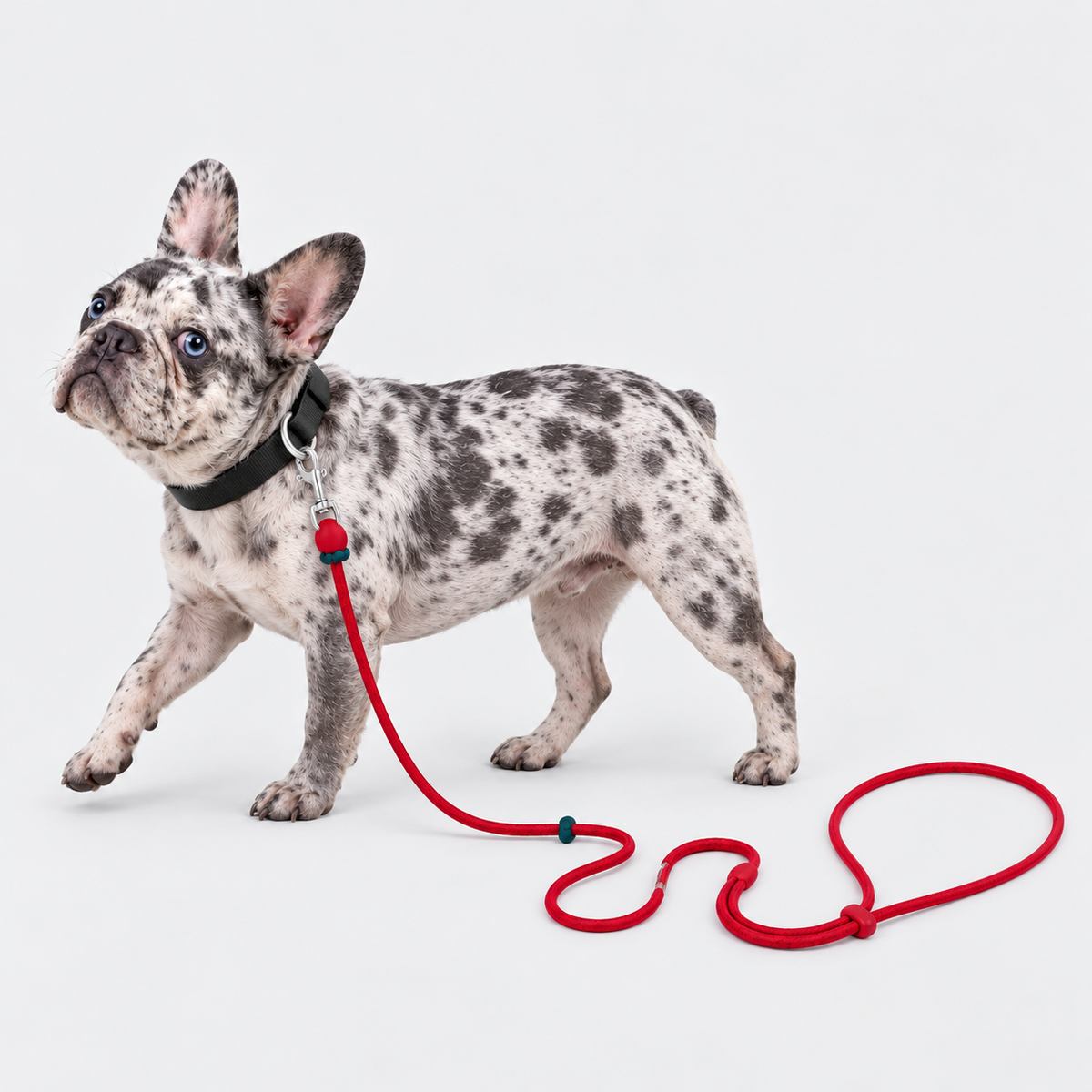 Crossbody French Bulldog Leash — 6030348360745