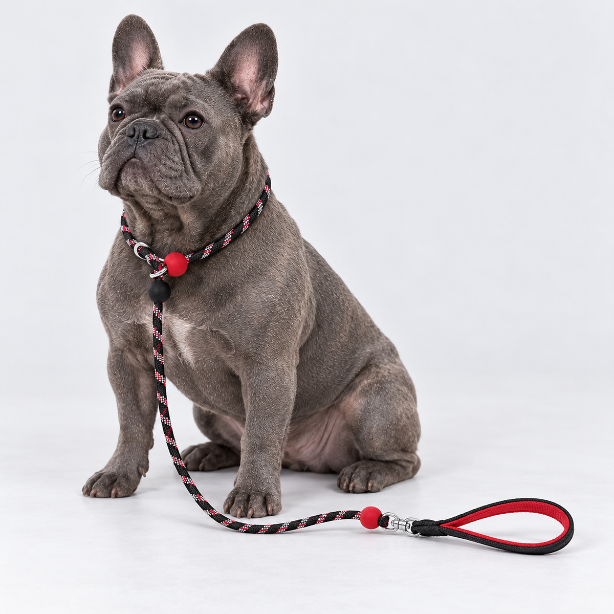 Racetrack Adjustable French Bulldog Slip Leash — 6114865280477