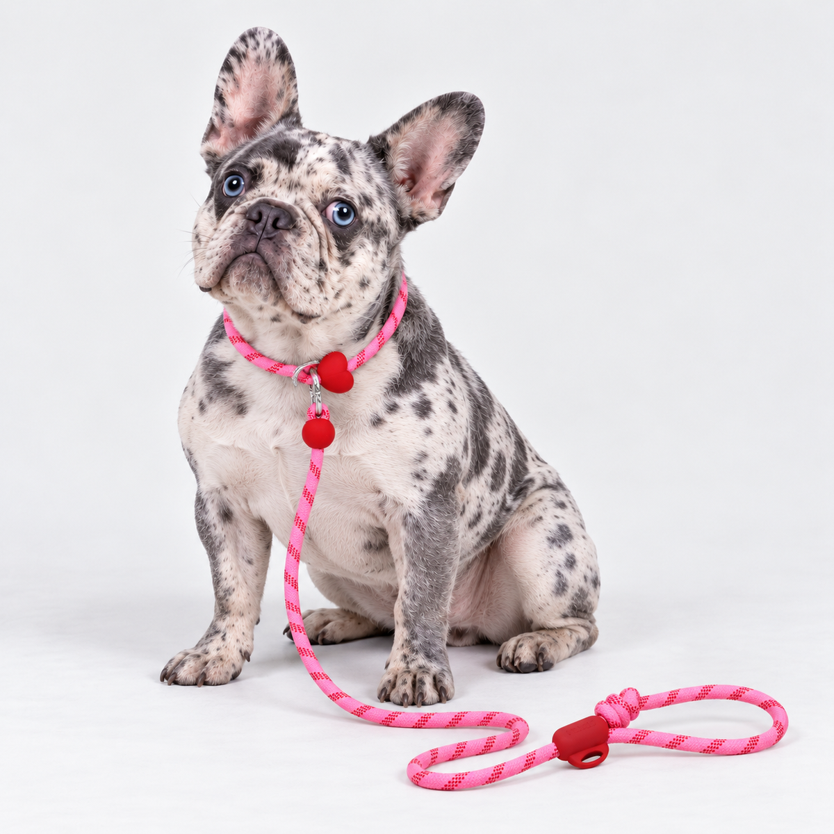 Sweetheart French Bulldog Slip Leash — 6299856375459