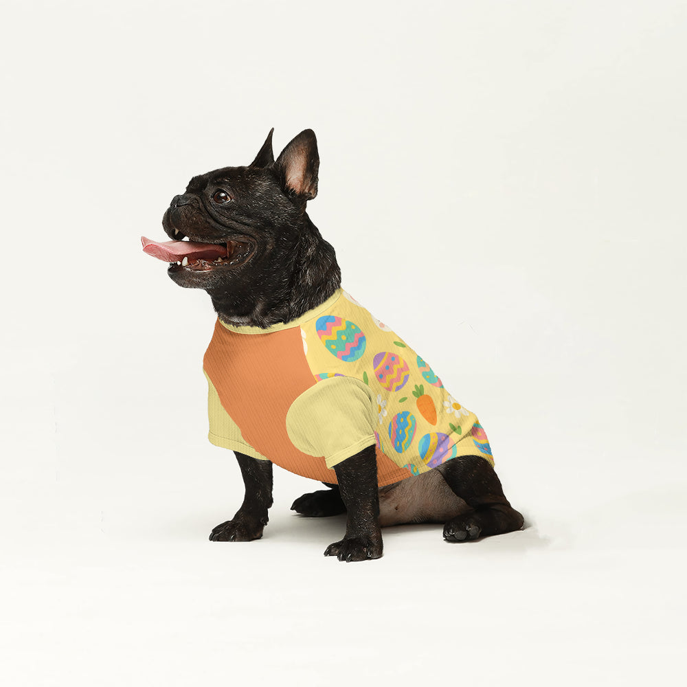 French Bulldog Wool Sweater | The Frenchie Shop Custom Print Cozy Knit