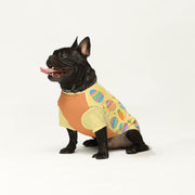 French Bulldog Wool Sweater | The Frenchie Shop Custom Print Cozy Knit