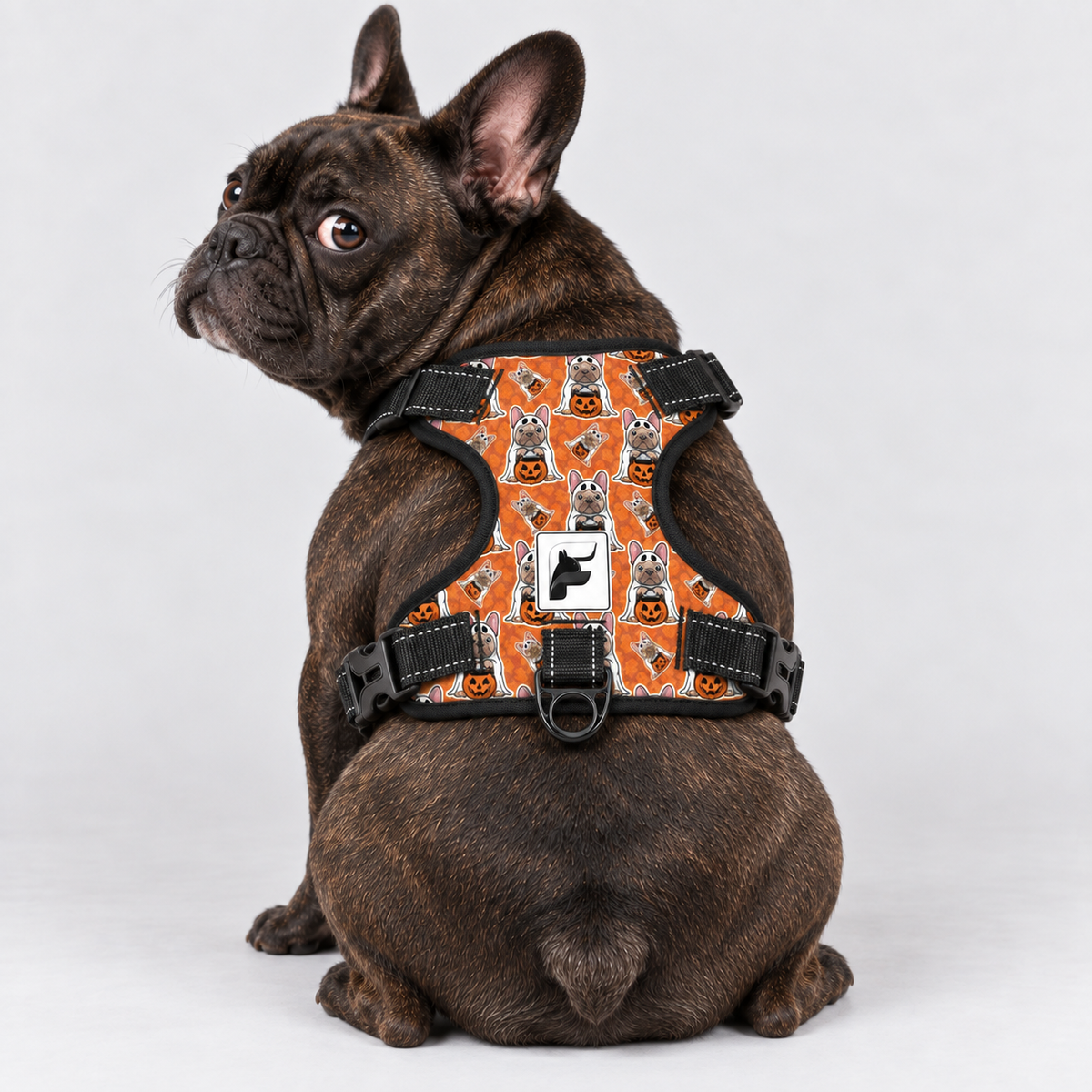 Pumpkin Pup French Bulldog harness with adjustable neck and chest straps and side-release buckles