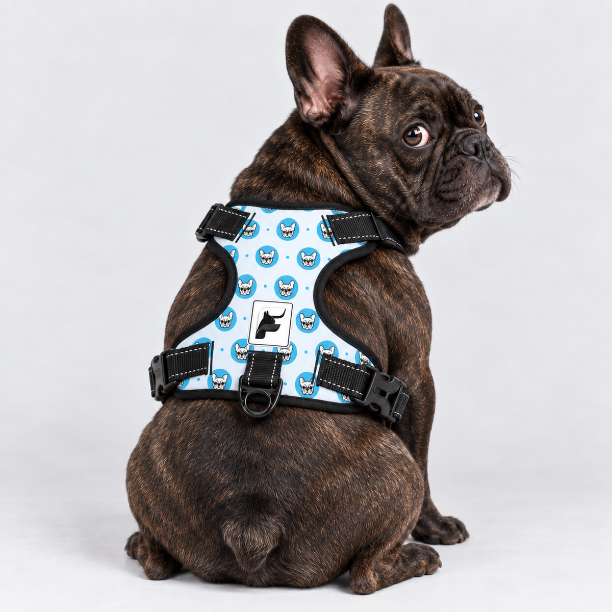 Blue Frenchie Faces dog harness with adjustable straps, side-release buckles and metal leash rings