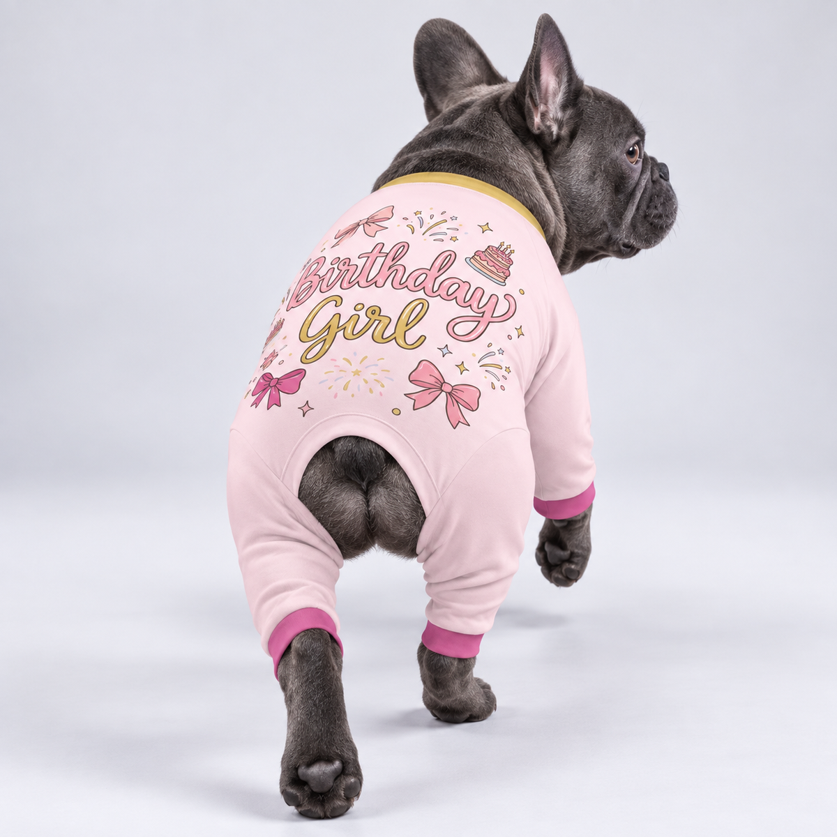 Birthday Party French Bulldog Pajamas – Soft Dog Sleepwear back view on French Bulldog