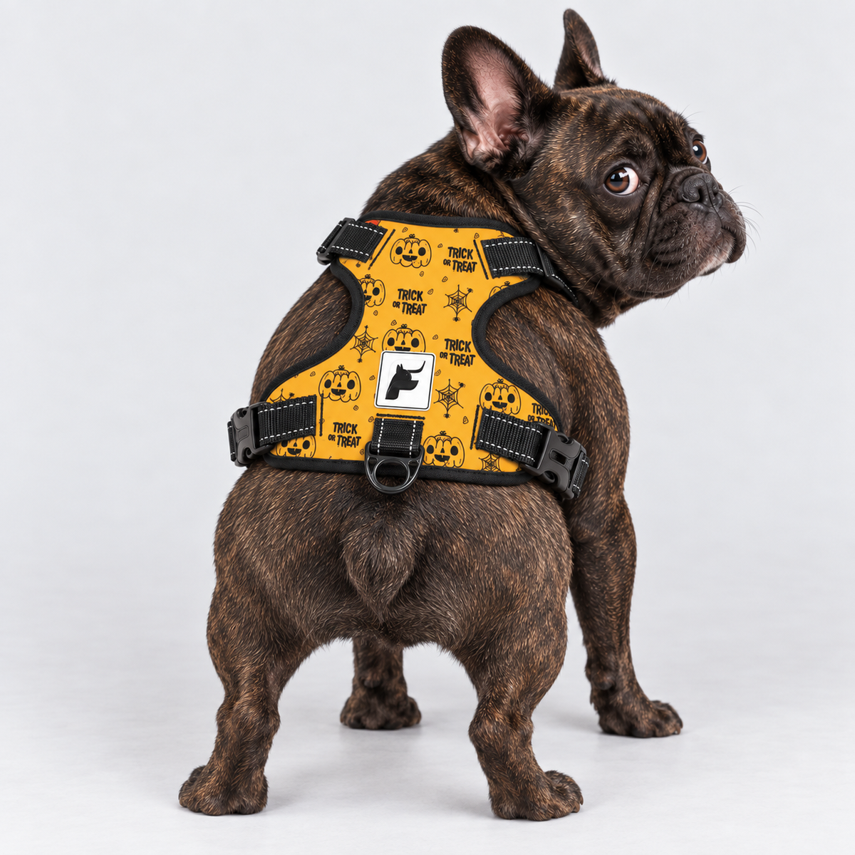 Trick or Treat French Bulldog harness with padded mesh lining and adjustable neck and chest straps