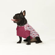 French Bulldog Wool Sweater | The Frenchie Shop Custom Print Cozy Knit