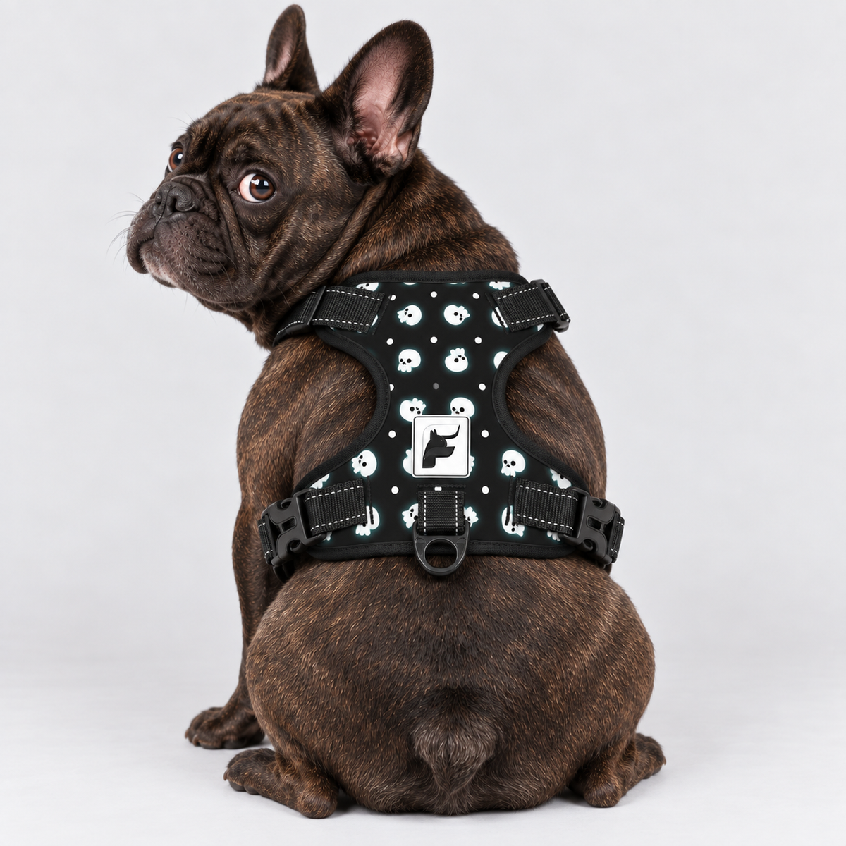 Little Ghosts French Bulldog harness with adjustable straps, side-release buckles and metal leash rings