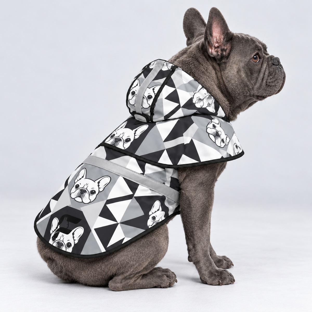 Urban Monochrome French Bulldog raincoat — seated side view