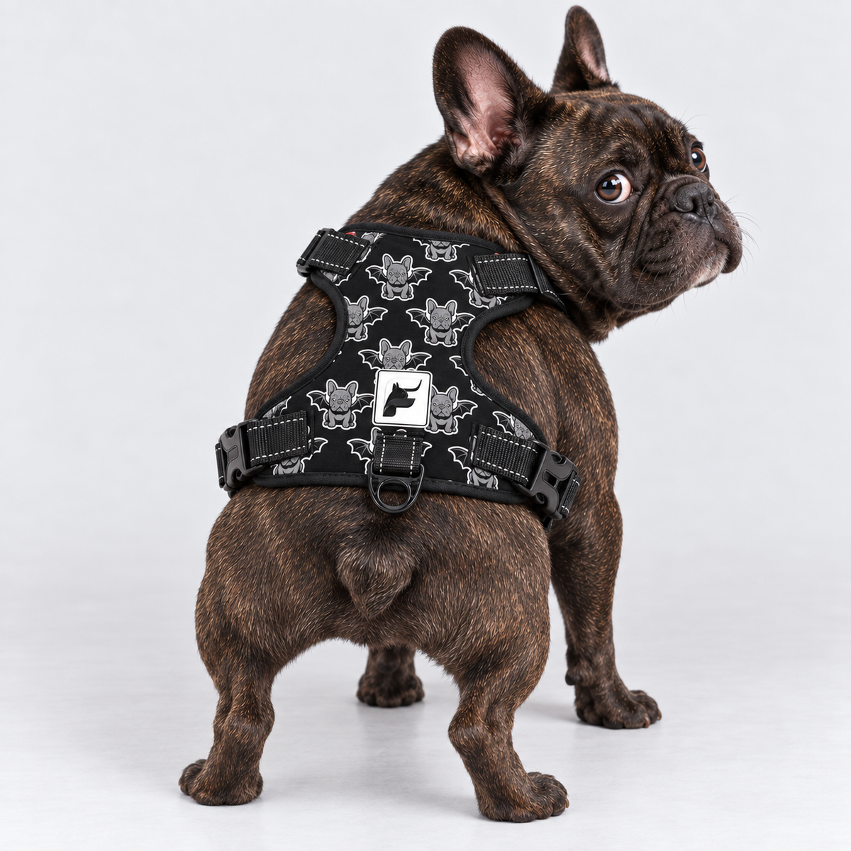 Bat Frenchie dog harness with adjustable neck and chest straps and side-release buckles