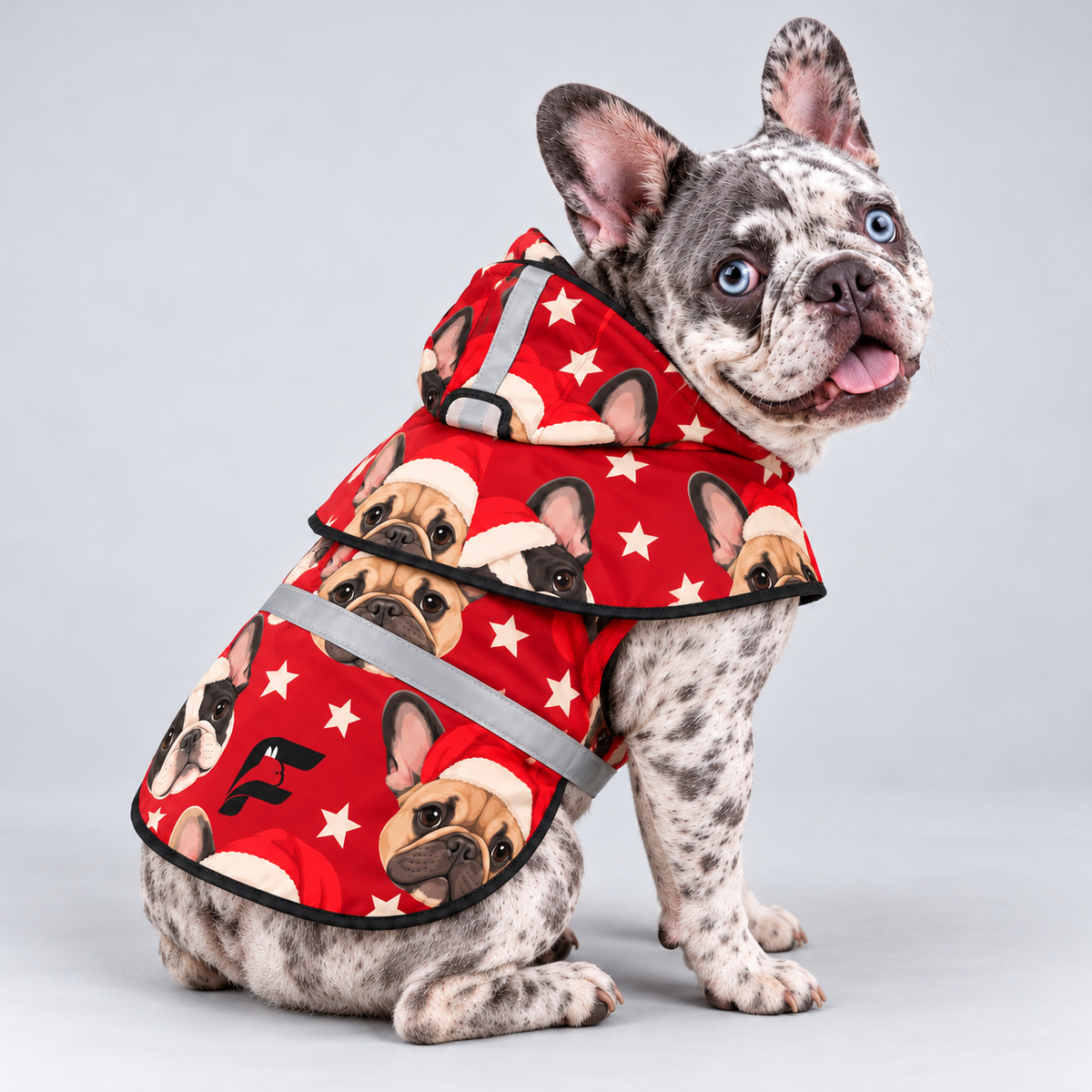 Santa Snorts French Bulldog raincoat — seated side view