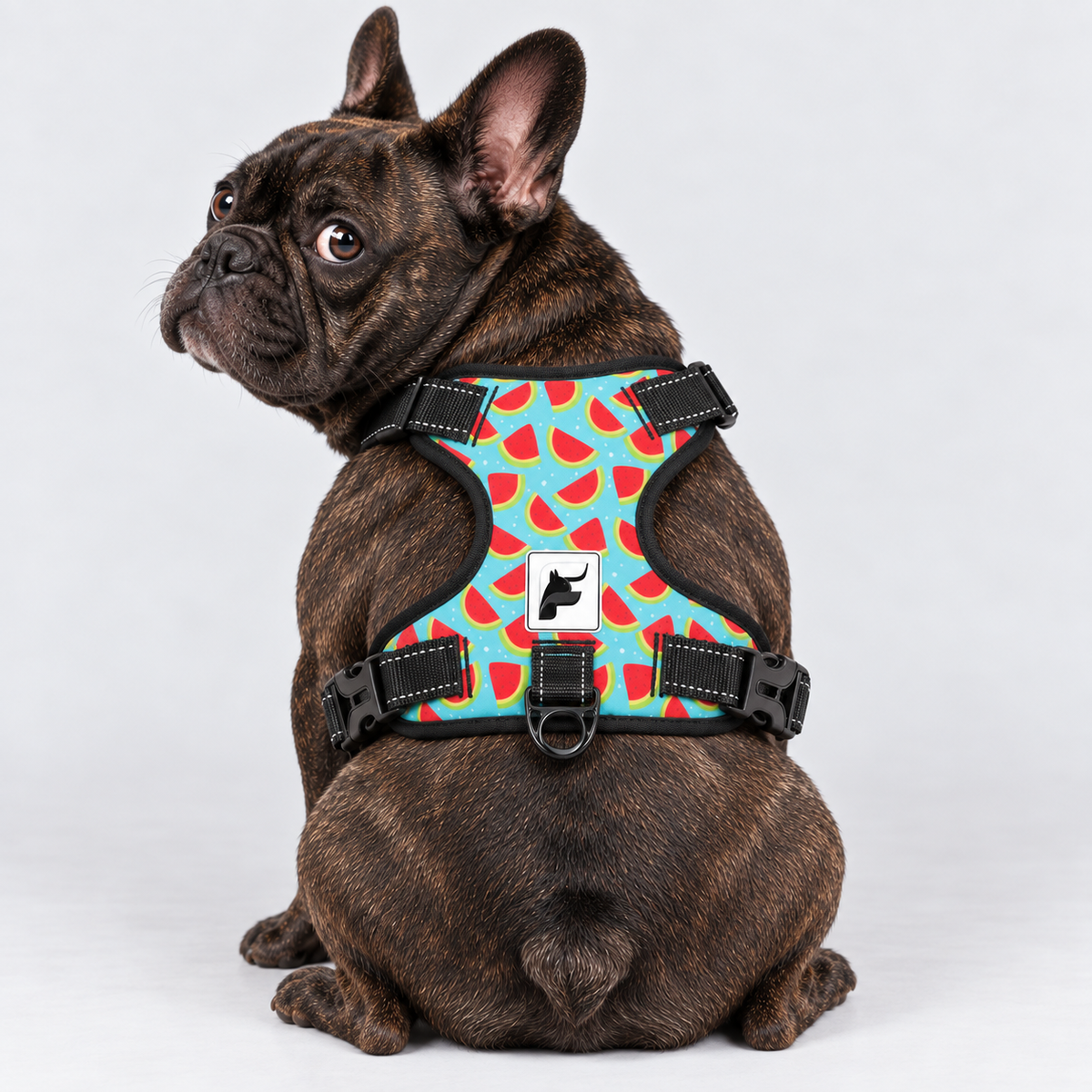 Watermelon Picnic French Bulldog harness with adjustable straps, side-release buckles and metal leash rings