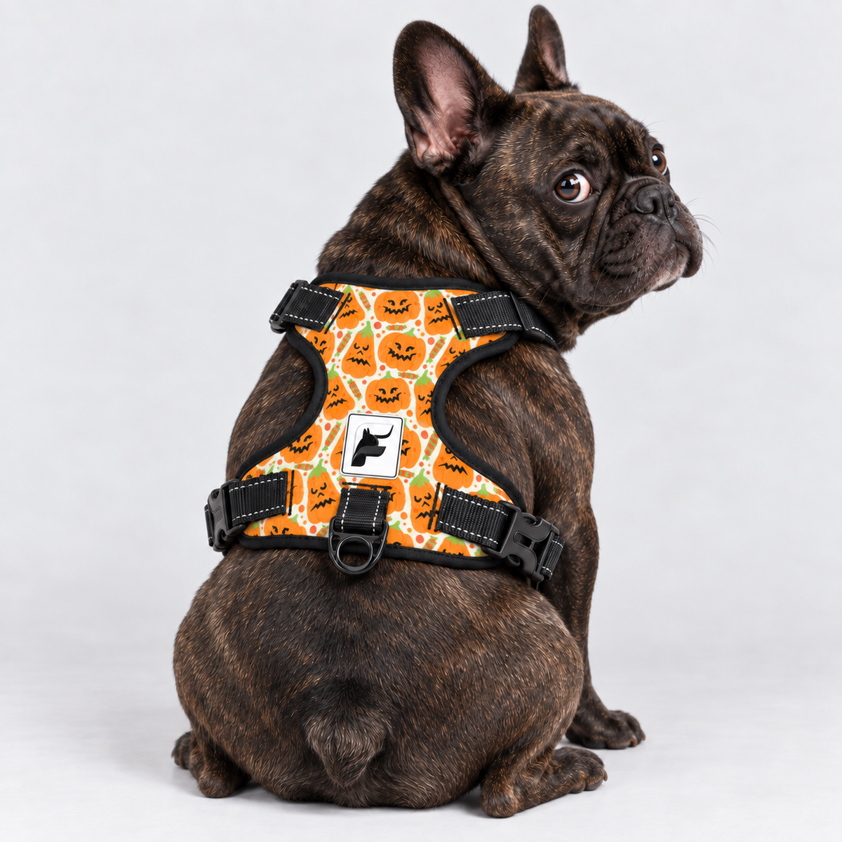 Jack-O-Lantern French Bulldog harness with padded mesh lining and adjustable neck and chest straps