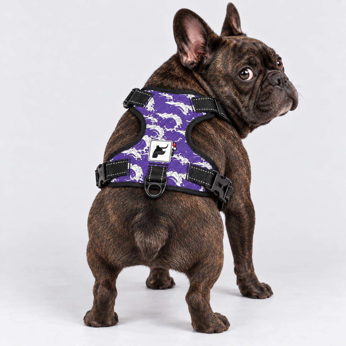 Purple Skeleton French Bulldog harness with adjustable neck and chest straps and side-release buckles