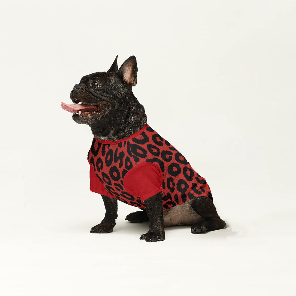 French Bulldog Wool Sweater | The Frenchie Shop Custom Print Cozy Knit