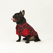 French Bulldog Wool Sweater | The Frenchie Shop Custom Print Cozy Knit