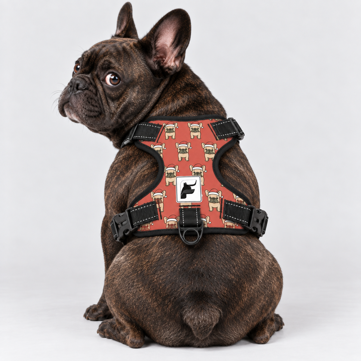 Santa Frenchie dog harness with padded mesh lining and adjustable neck and chest straps