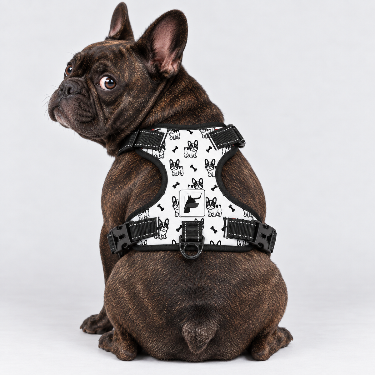 Frenchies & Bones no-pull dog harness, padded mesh lining and metal leash rings