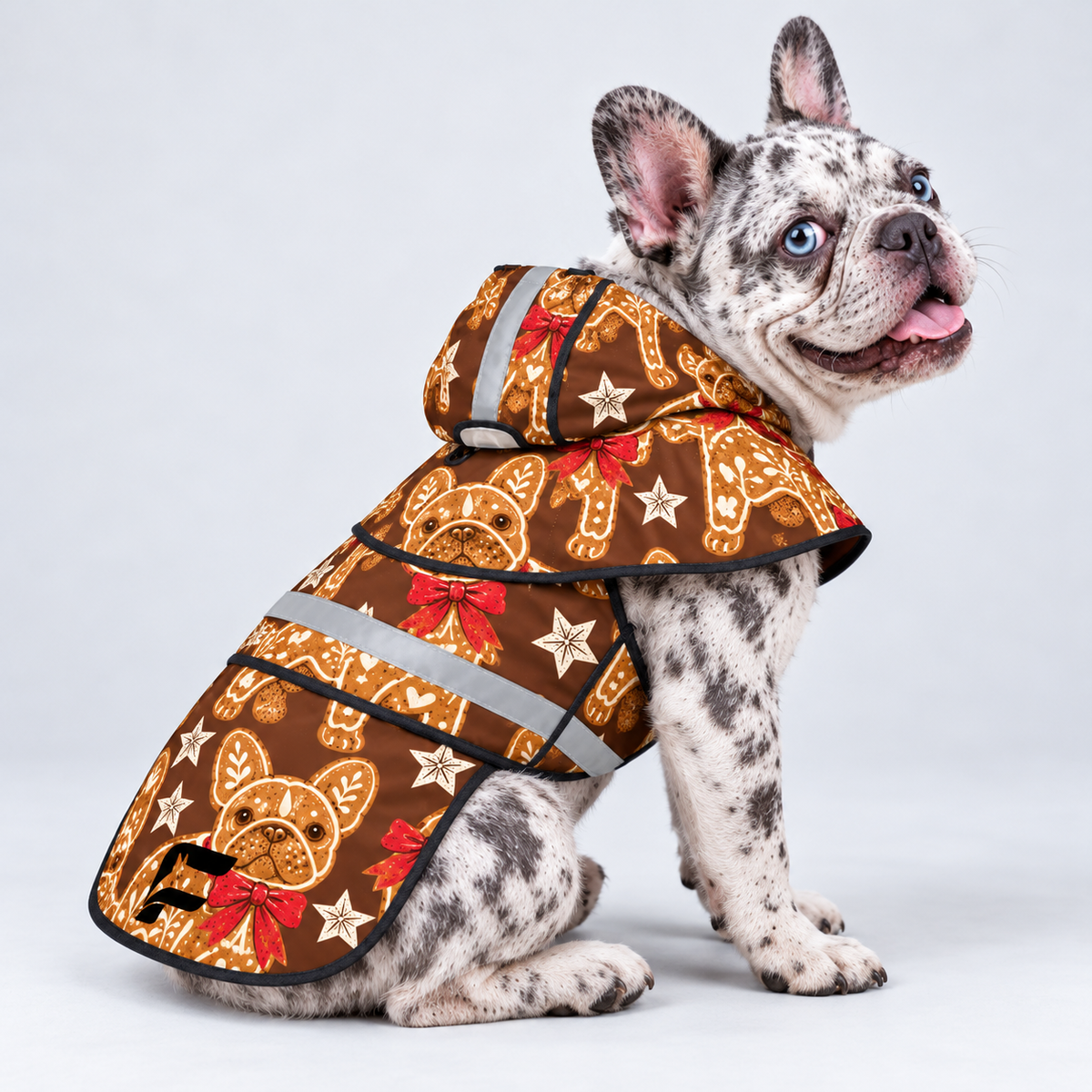 Gingerbread Frenchie French Bulldog raincoat — seated side view