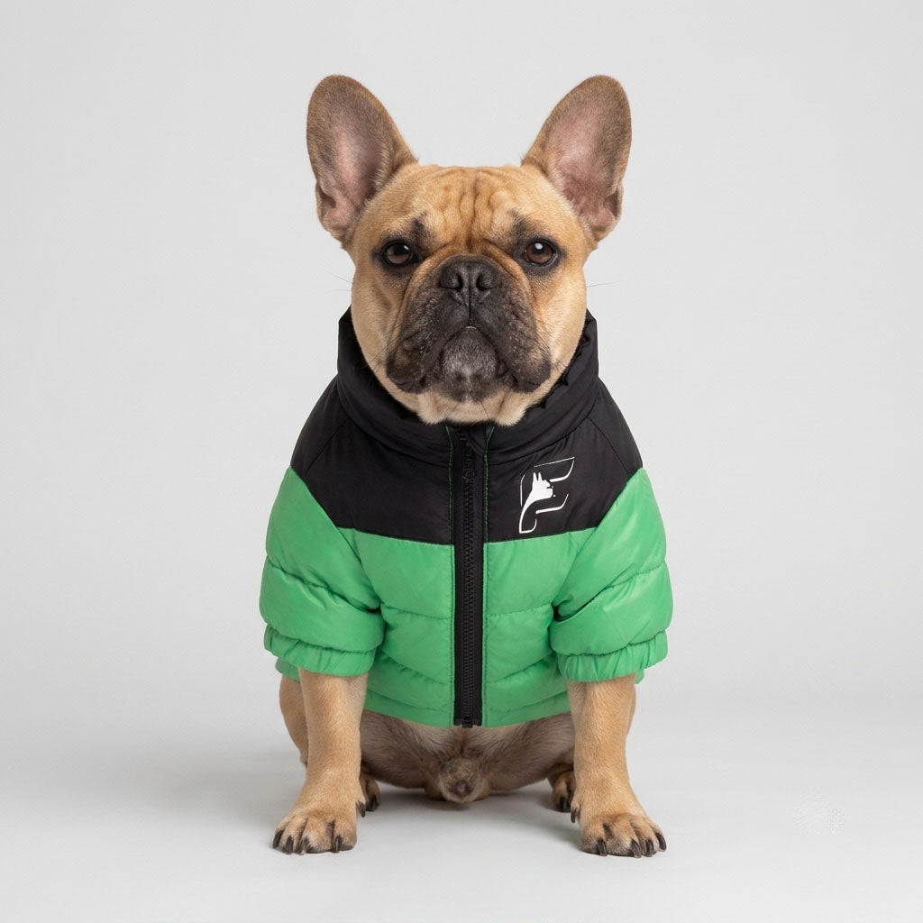 Frenchie Highlander Insulated Jacket – Warm Winter Puffer for French Bulldogs (Wasabi Green)