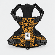 Tiger Stripe French Bulldog no-pull harness, golden orange and black tiger stripes