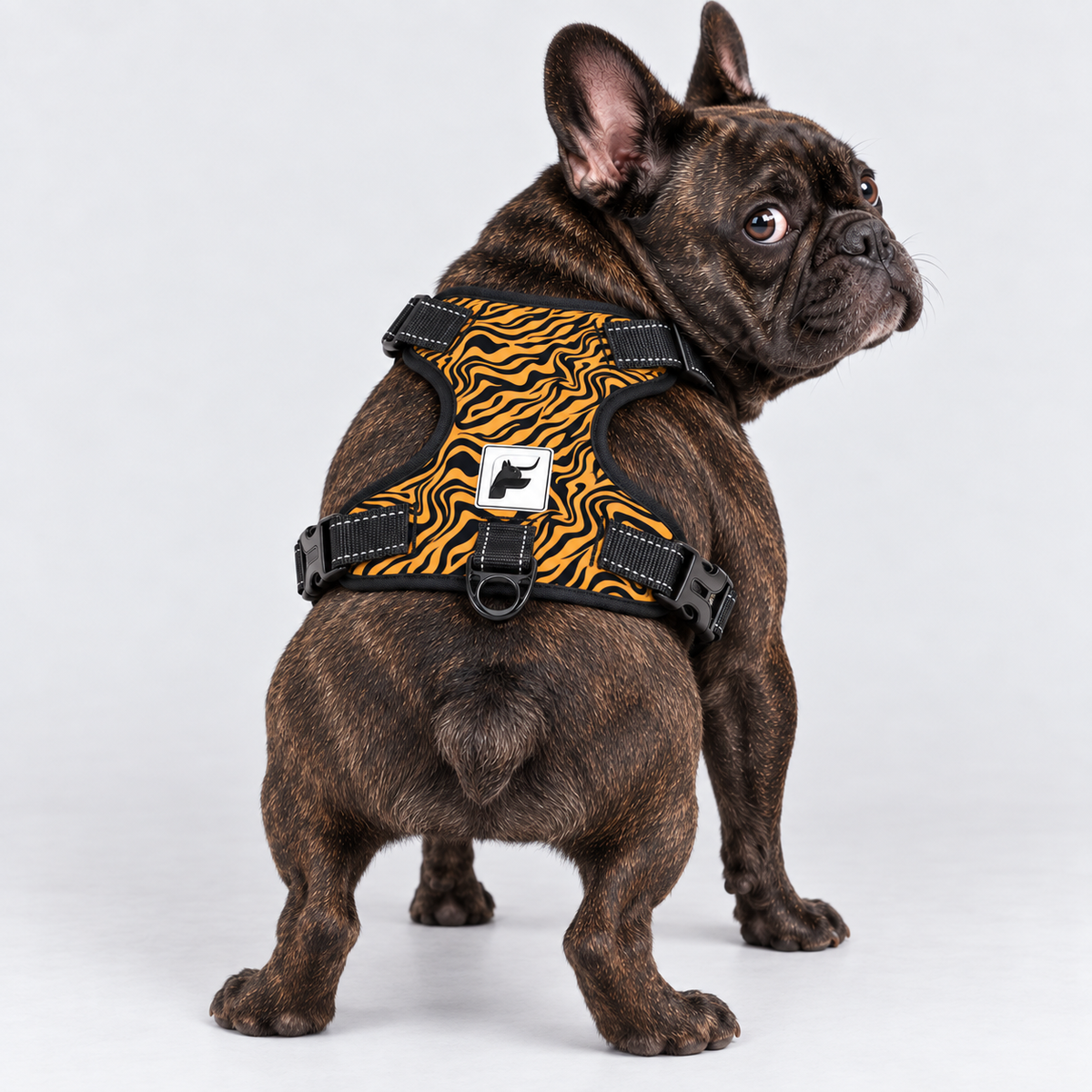 Tiger Stripe French Bulldog no-pull harness, padded mesh lining and metal leash rings