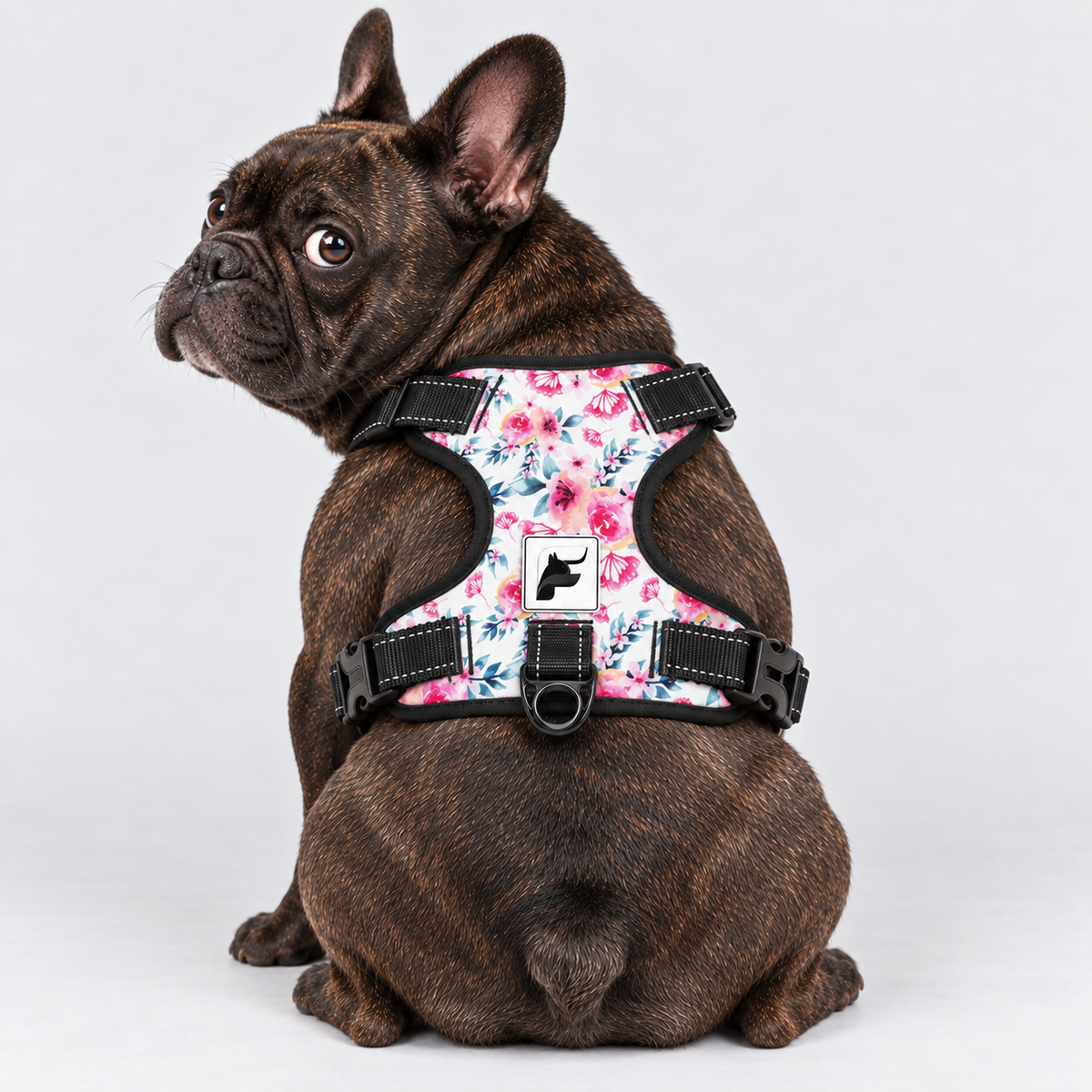 Pink Blossom French Bulldog no-pull harness, padded mesh lining and metal leash rings