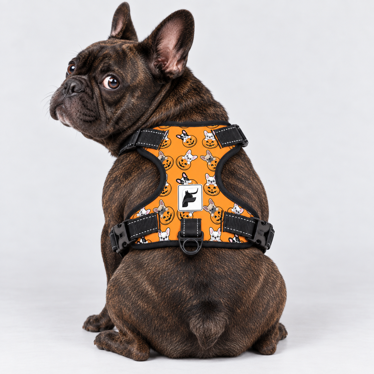 Pumpkin Frenchie no-pull dog harness, padded mesh lining, sizes S to XL
