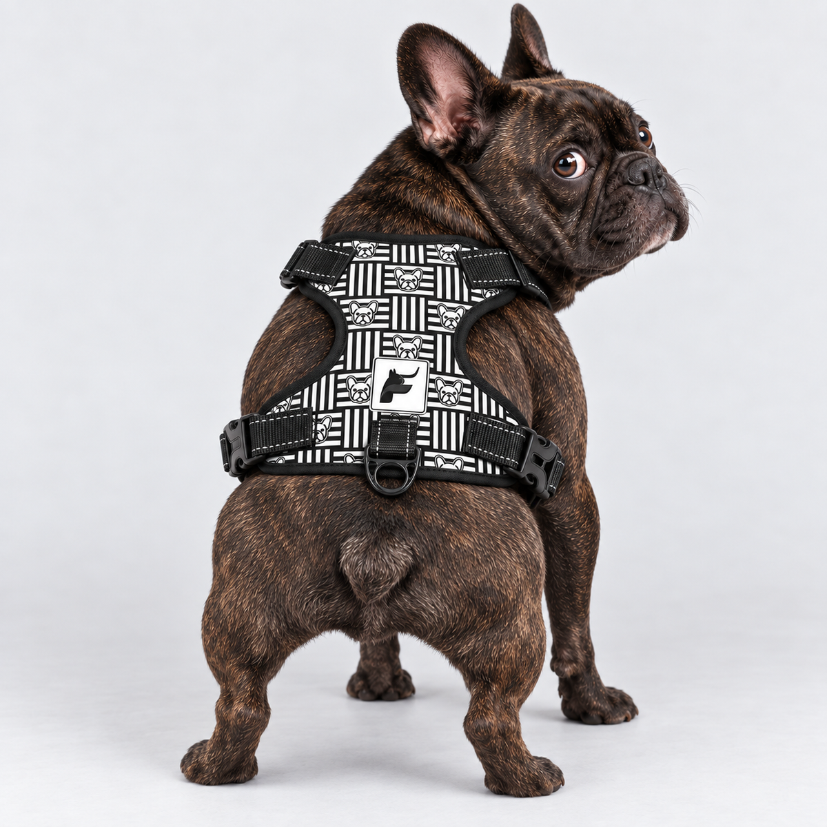 Geometric Frenchie no-pull dog harness, padded mesh lining, sizes S to XL