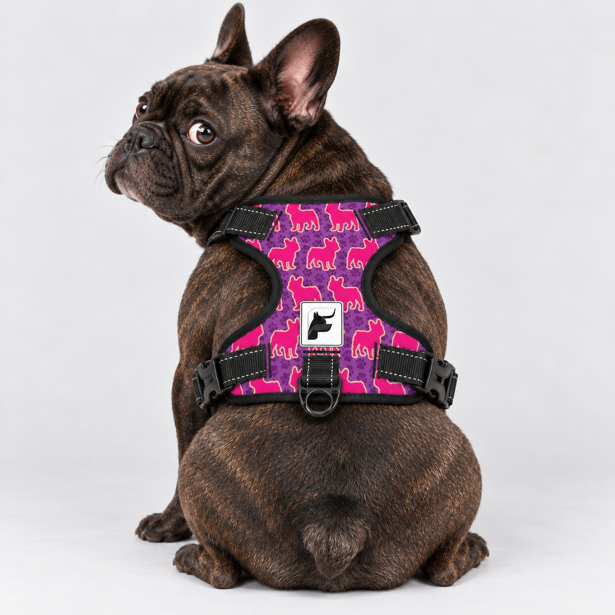 Pink Frenchie Pop no-pull dog harness, padded mesh lining and metal leash rings