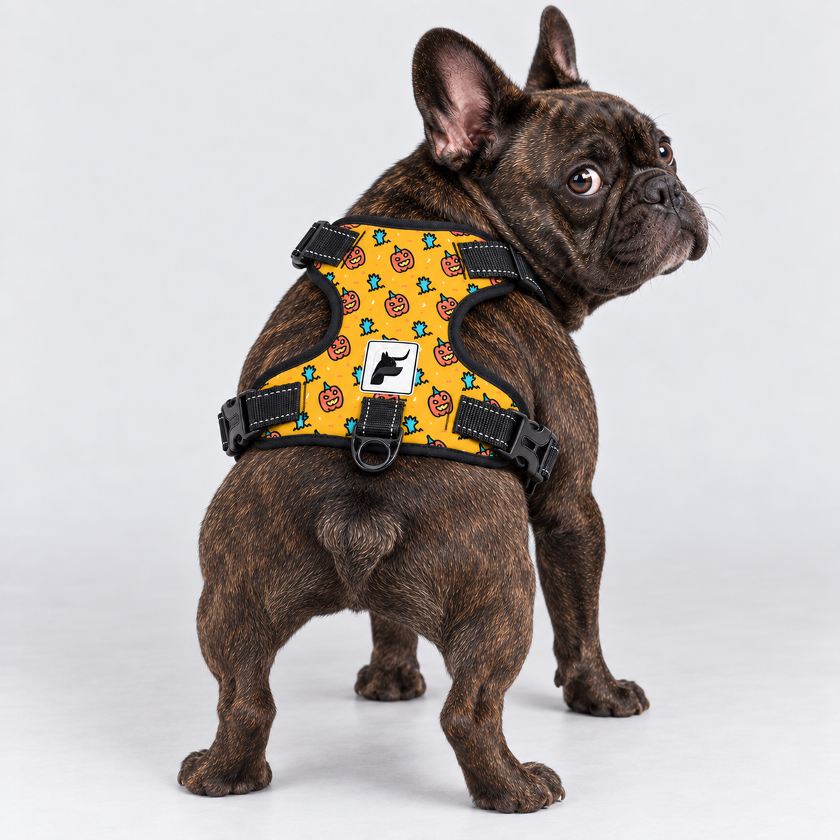 Pumpkins & Monsters French Bulldog no-pull harness, padded mesh lining and metal leash rings