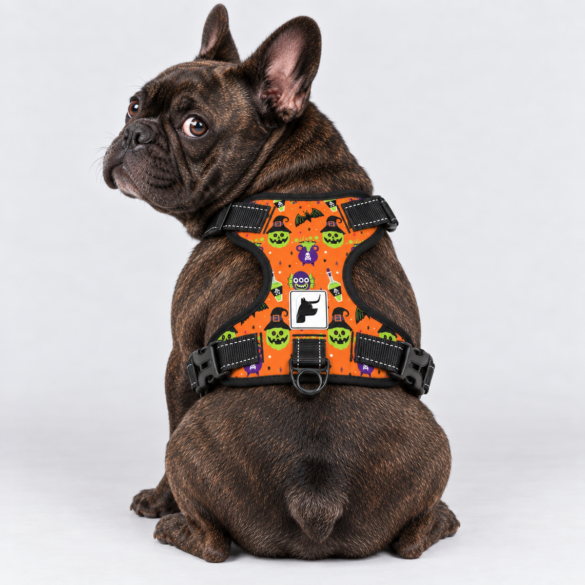 Halloween Party French Bulldog no-pull harness, padded mesh lining, sizes S to XL