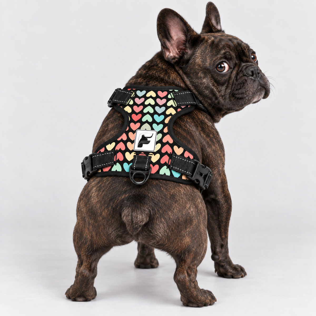 Pastel Hearts French Bulldog no-pull harness, padded mesh lining, sizes S to XL