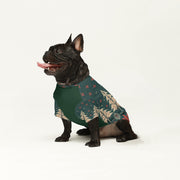 French Bulldog Wool Sweater | The Frenchie Shop Custom Print Cozy Knit