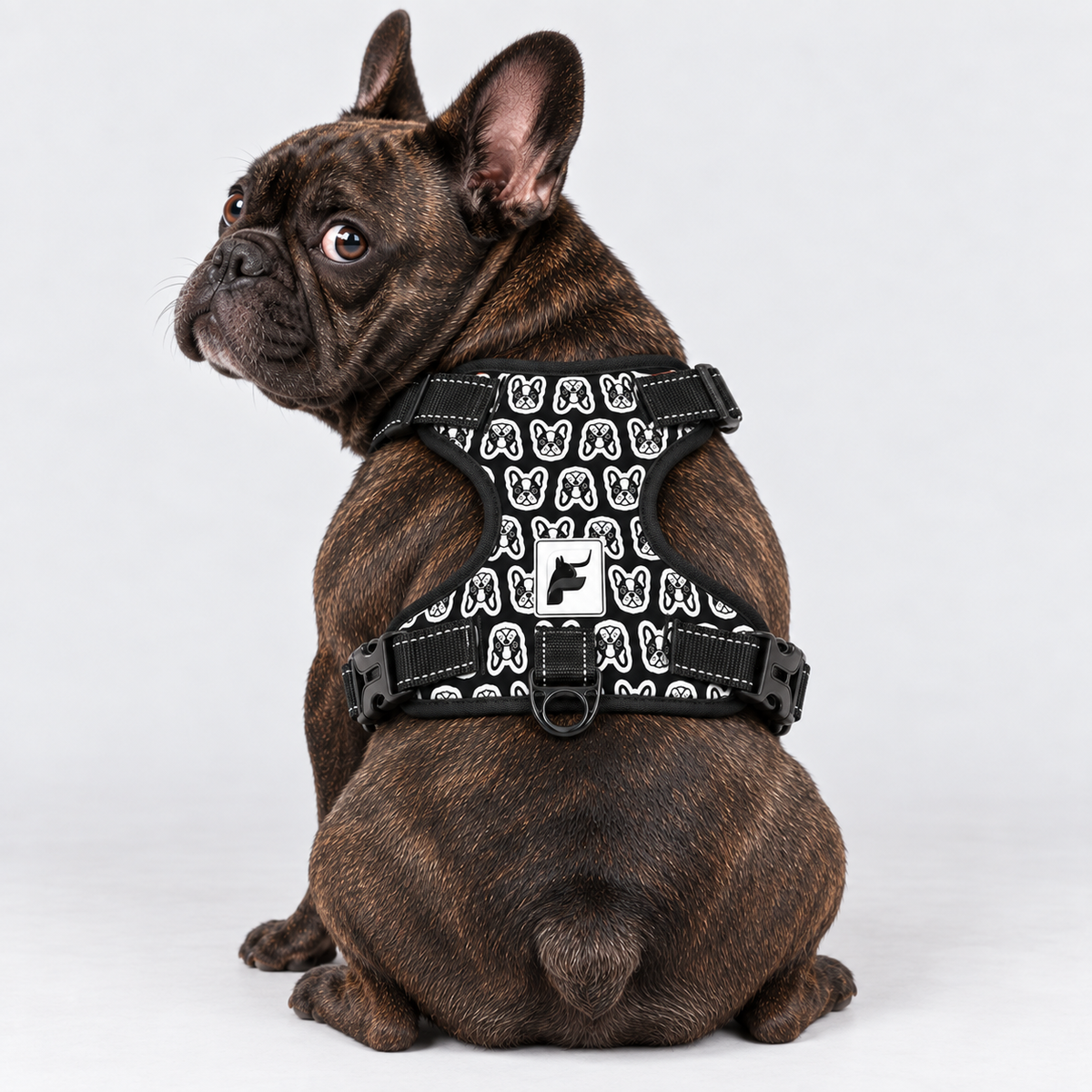 Monochrome Frenchie Portraits no-pull dog harness, padded mesh lining and metal leash rings