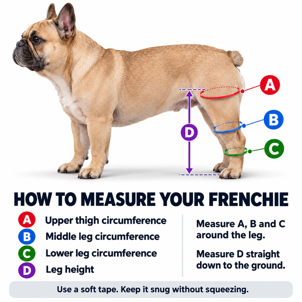 French Bulldog Leg Brace | Frenchie Knee Support Sleeve