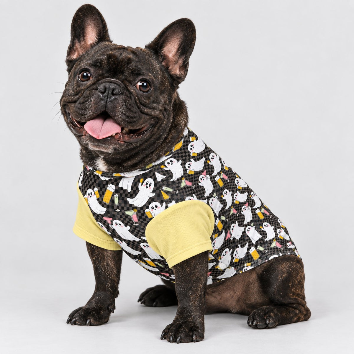 Frenchie wool sweater sized XS through XL for small and medium dogs.