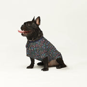 French Bulldog Wool Sweater | The Frenchie Shop Custom Print Cozy Knit