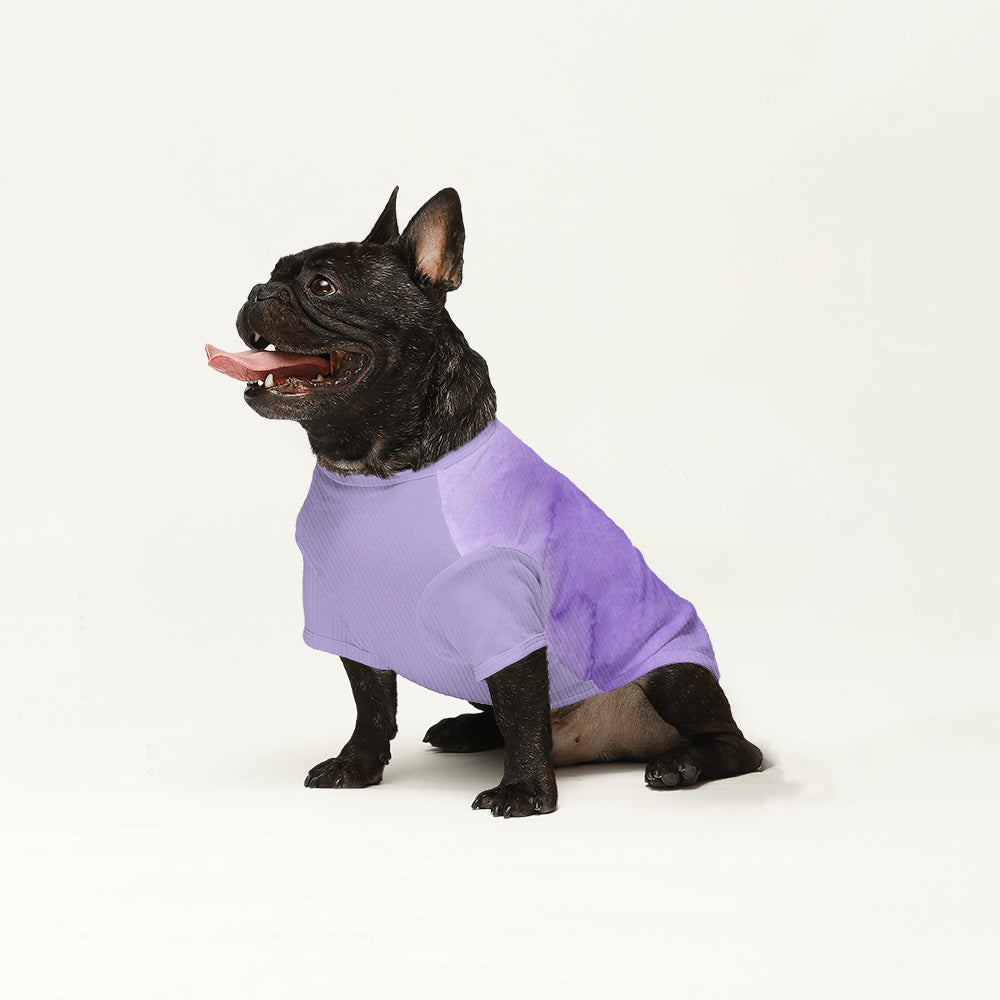 French Bulldog Wool Sweater | The Frenchie Shop Custom Print Cozy Knit